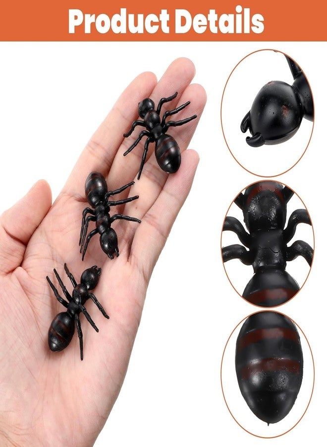 LUDALY Realistic Ants Halloween Prank Toys for Halloween Party Decoration, April Fool’s Day Props (Pack of 12) - Image 4